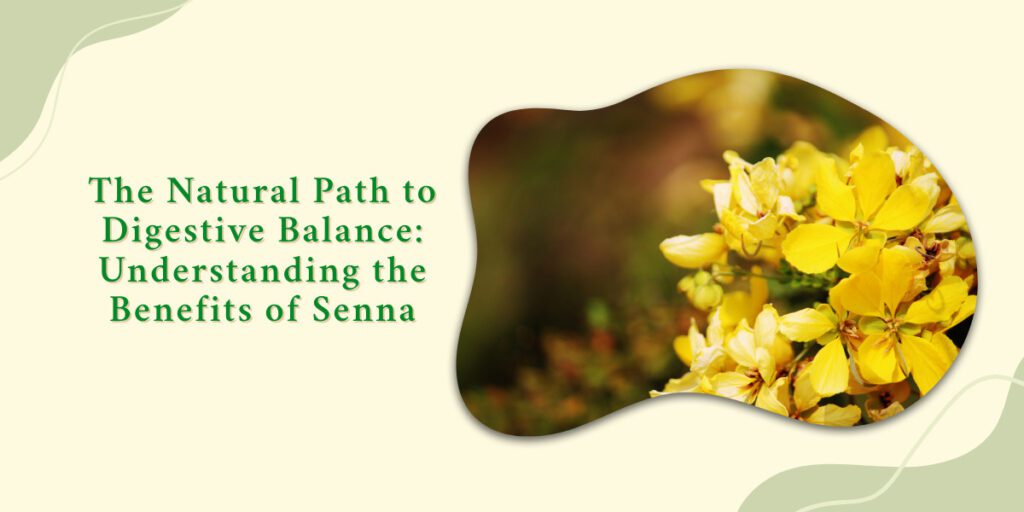 The Natural Path to Digestive Balance: Understanding the Benefits of Senna
